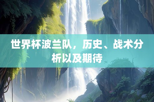 世界杯波兰队，历史、战术分析以及期待漯河市盈旭机械设备有限公司