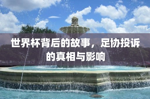世界杯背后的故事，足协投诉的真相与影响