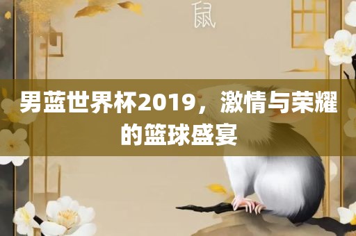 男蓝世界杯2019，激情与荣耀的篮球盛宴