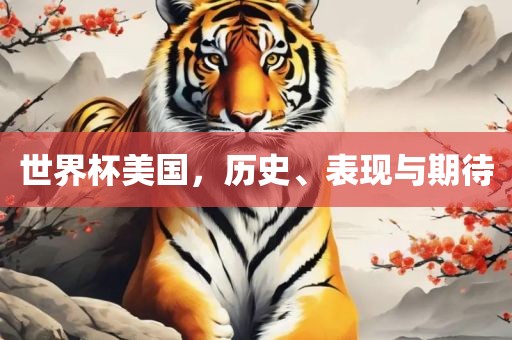 世界杯美国，历史、表现与期待