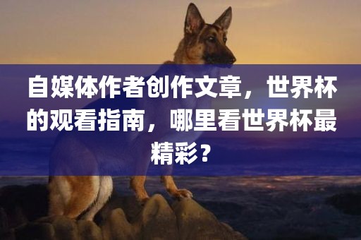 自媒体作者创作文章，世界杯的观看指南，哪里看世界杯最精彩？