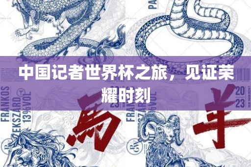 中国记者世界杯之旅，见证荣耀时刻