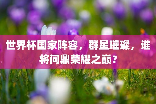 世界杯国家阵容，群星璀璨，谁将问鼎荣耀之巅？