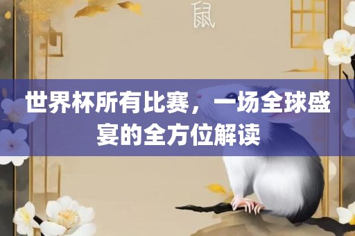 世界杯所有比赛，一场全球盛宴的全方位解读漯河市盈旭机械设备有限公司