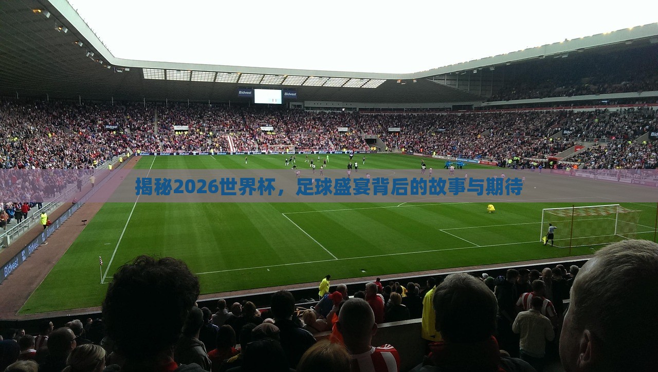 揭秘2026世界杯，足球盛宴背后的故事与期待